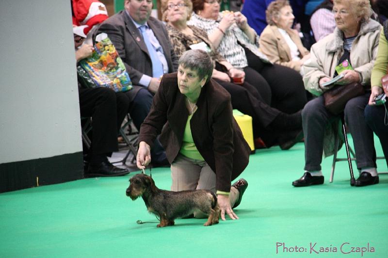 Crufts2011_2 1275.jpg